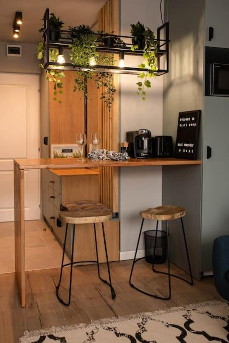 Blue Moon. Cozy Apartment Near Iulius Mall Κλουζ-Ναπόκα Εξωτερικό φωτογραφία