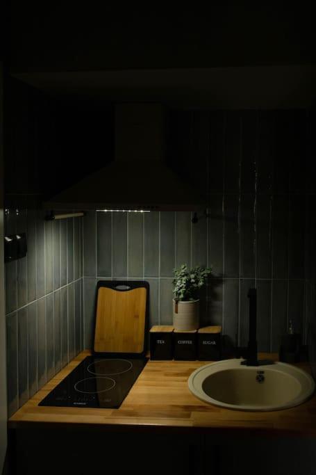 Blue Moon. Cozy Apartment Near Iulius Mall Κλουζ-Ναπόκα Εξωτερικό φωτογραφία