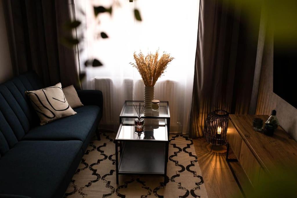 Blue Moon. Cozy Apartment Near Iulius Mall Κλουζ-Ναπόκα Εξωτερικό φωτογραφία